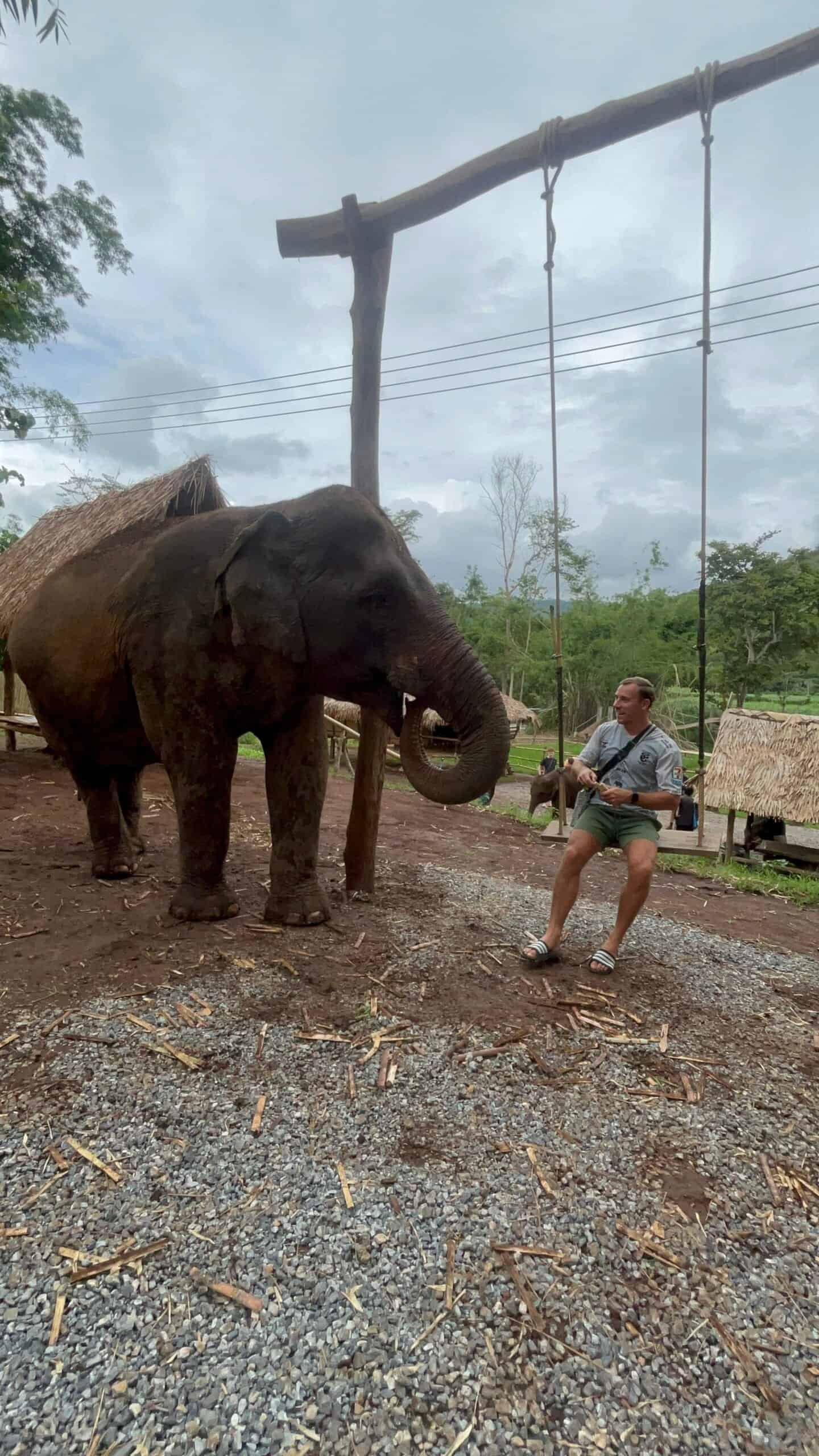 Me feeding an elephant in Chiang Mai, Thailand